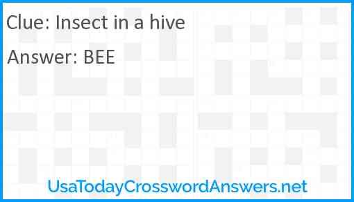 Insect in a hive Answer