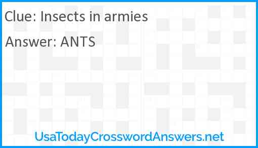 Insects in armies Answer