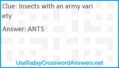 Insects with an army variety Answer