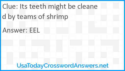 Its teeth might be cleaned by teams of shrimp Answer