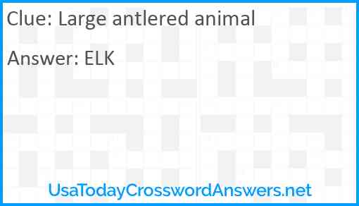 Large antlered animal Answer