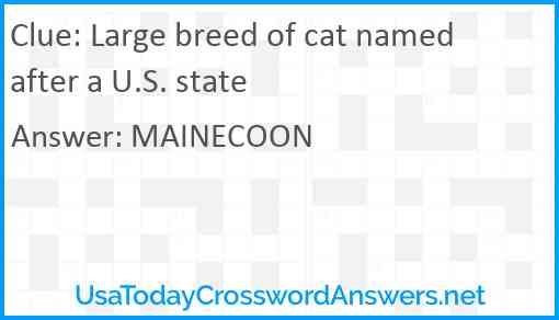 Large breed of cat named after a U.S. state Answer