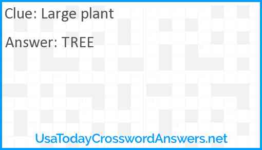 Large plant Answer