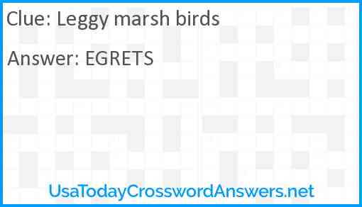 Leggy marsh birds Answer