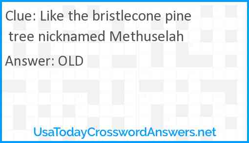Like the bristlecone pine tree nicknamed Methuselah Answer