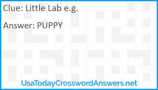 Little Lab e.g. Answer