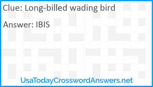 Long-billed wading bird Answer