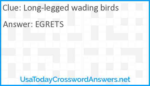 Long-legged wading birds Answer