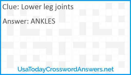 Lower leg joints Answer