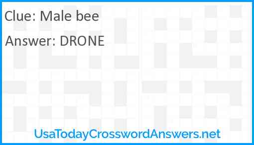 Male bee Answer