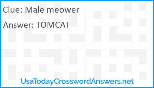Male meower Answer