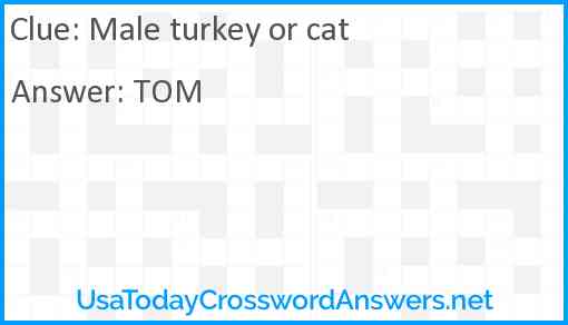 Male turkey or cat Answer