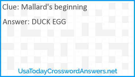 Mallard's beginning Answer