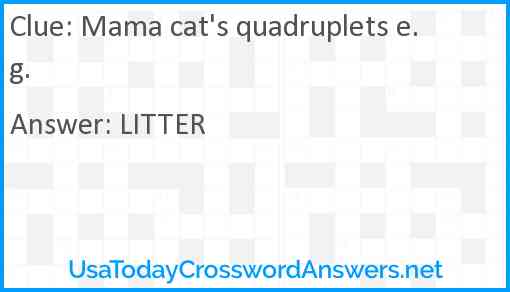 Mama cat's quadruplets e.g. Answer