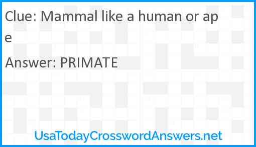 Mammal like a human or ape Answer