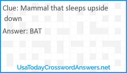 Mammal that sleeps upside down Answer