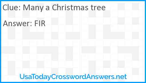 Many a Christmas tree Answer