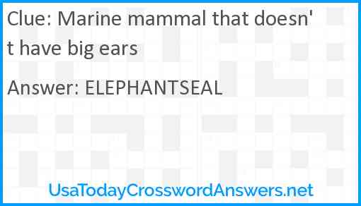 Marine mammal that doesn't have big ears Answer