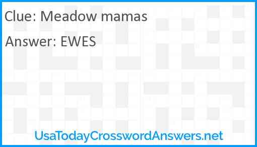 Meadow mamas Answer