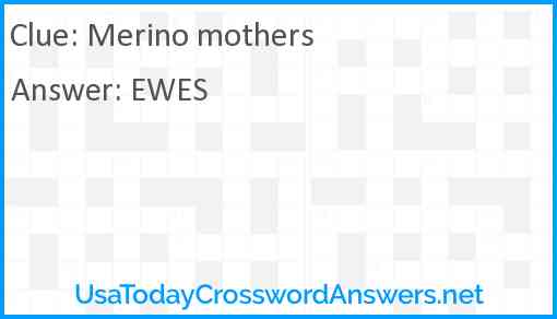 Merino mothers Answer