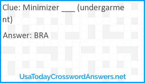 Minimizer ___ (undergarment) Answer