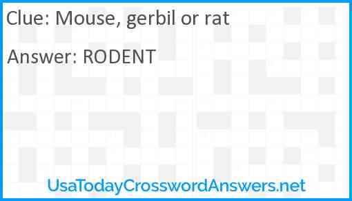 Mouse, gerbil or rat Answer