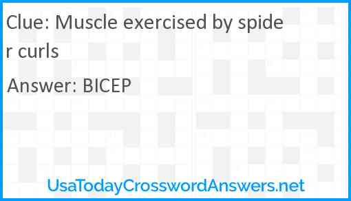 Muscle exercised by spider curls Answer