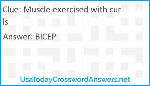 Muscle exercised with curls Answer