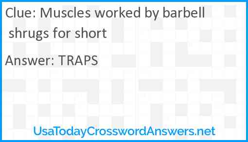 Muscles worked by barbell shrugs for short Answer