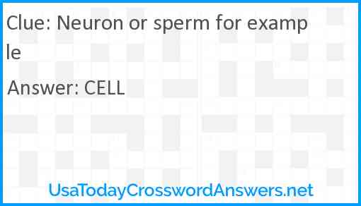 Neuron or sperm for example Answer