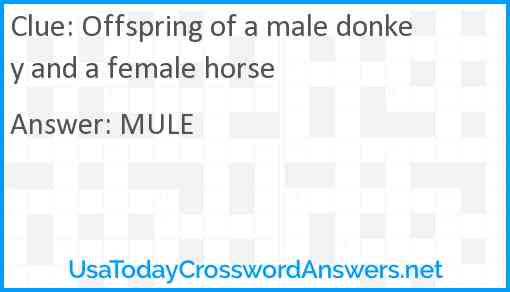Offspring of a male donkey and a female horse Answer