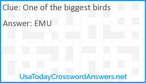 One of the biggest birds Answer