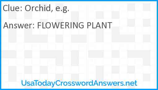 Orchid, e.g. Answer