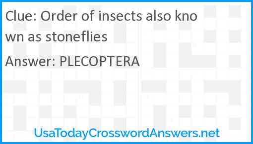 Order of insects also known as stoneflies Answer