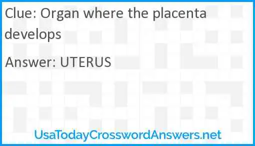 Organ where the placenta develops Answer