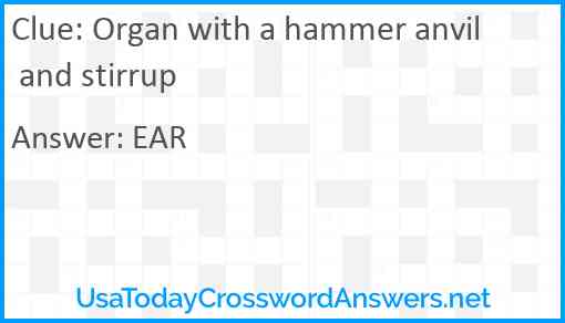 Organ with a hammer anvil and stirrup Answer