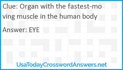 Organ with the fastest-moving muscle in the human body Answer