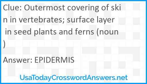 Outermost covering of skin in vertebrates; surface layer in seed plants and ferns (noun) Answer