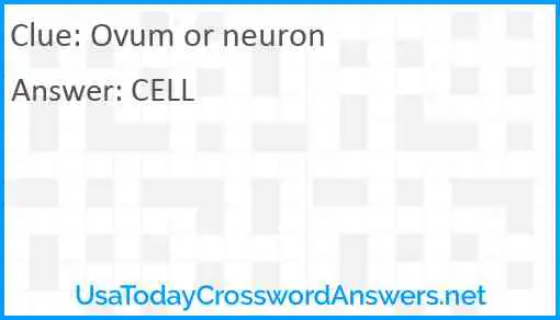 Ovum or neuron Answer