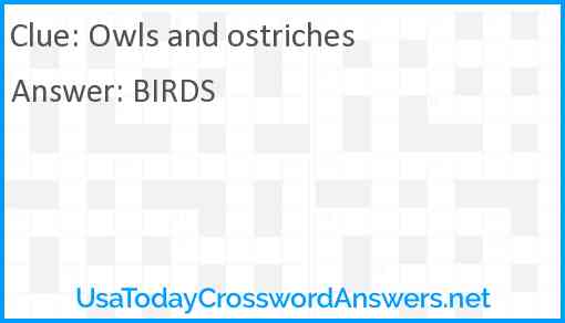 Owls and ostriches Answer