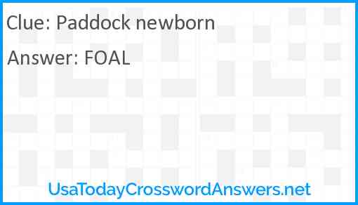 Paddock newborn Answer