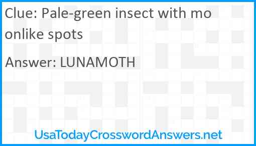 Pale-green insect with moonlike spots Answer