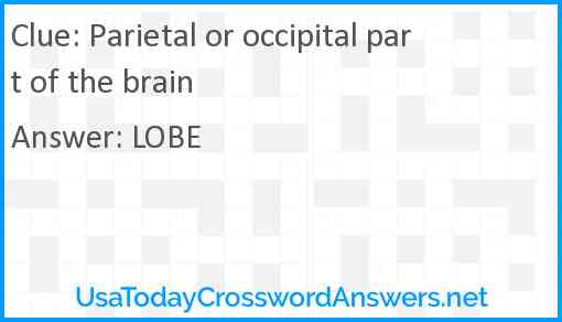 Parietal or occipital part of the brain Answer