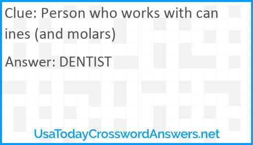 Person who works with canines (and molars) Answer