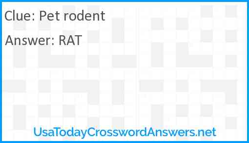 Pet rodent Answer