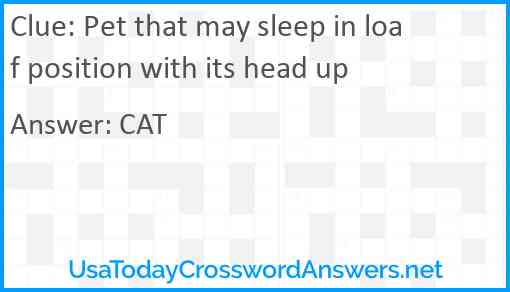 Pet that may sleep in loaf position with its head up Answer