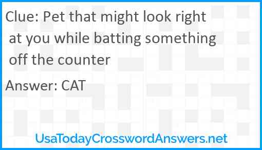 Pet that might look right at you while batting something off the counter Answer