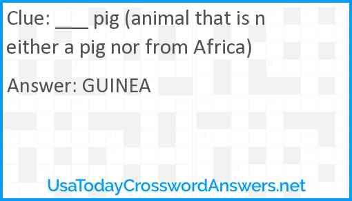 ___ pig (animal that is neither a pig nor from Africa) Answer