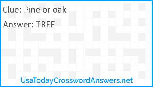 Pine or oak Answer