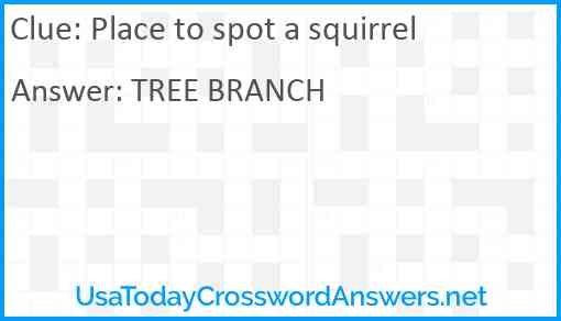 Place to spot a squirrel Answer